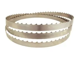 pila-tasmowa-do-drewna-40x11x4000-trak-brzeszczot