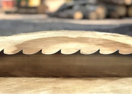 brzeszczot-wood-mizer-startcut-do-trakow-tasmowych-stan-nowy-marka-inny-producent