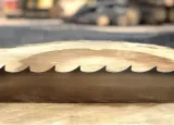 brzeszczot-wood-mizer-startcut-do-trakow-tasmowych-stan-nowy-marka-inny-producent