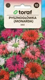 pysznoglowka-monarda-nasiona-kwiatow-628-toraf