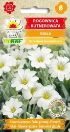 rogownica-kutnerowata-biala-nasiona-kwiatow-631-toraf