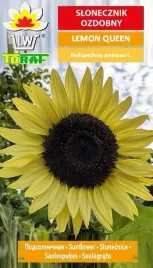 slonecznik-ozdobny-lemon-queen-nasiona-kwiatow-640-toraf