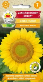 slonecznik-ozdobny-karlowy-green-hobbit-nasiona-kwiatow-643-toraf