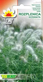 trawa-rozplenica-kosmata-nasiona-kwiatow-666-toraf