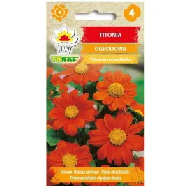 titonia-ogrodowa-pomaranczowa-nasiona-kwiatow-662-toraf