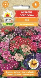 werbena-ogrodowa-mix-nasiona-kwiatow-677-toraf