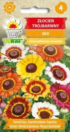 zlocien-trojbarwny-mix-nasiona-kwiatow-680-toraf