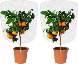 siatka-ochrona-na-rosliny-krzewy-oslona-chroniaca-przed-owadami-sciagacz-x2