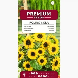 nasiona-slonecznik-polino-cola-niezwykle-dekoracyjny-premium-seeds-1g