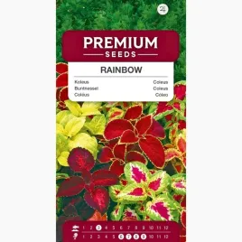 nasiona-koleus-rainbow-wiele-kolorow-kwiaty-dekoracja-premium-seeds-003-g