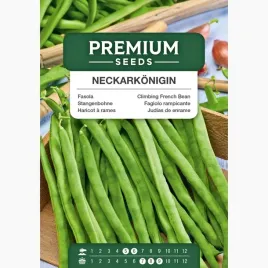 nasiona-fasola-rampicante-neckarkonigin-warzywao-grod-premium-seeds-10-g
