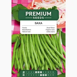 nasiona-fasola-saxa-warzywa-sadzenie-ogrod-ogrodnictwo-premium-seeds-30-g