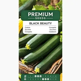 nasiona-cukinia-black-beauty-wczesna-odmiana-warzywa-plon-premium-seeds-4-g