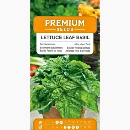 nasiona-bazylia-salatowa-duze-liscie-do-salatek-i-potraw-premium-seeds-05g
