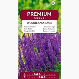 nasiona-szalwia-omszona-fioletowoniebieska-woodland-sage-premium-seeds-01g