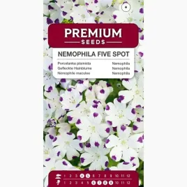 nasiona-porcelanka-plamista-biala-z-fioletowymi-plamami-premium-seeds-1g