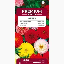 nasiona-dalia-pelna-karlowa-opera-mieszanka-mix-kolorow-premium-seeds-05g