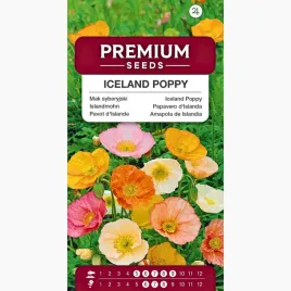 nasiona-mak-syberyjski-trwaly-na-rabaty-ogrody-skalne-premium-seeds-05-g