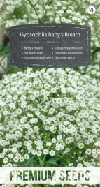 nasiona-gipsowka-wiechowata-kwiaty-ogrod-rabaty-bukiety-premium-seeds-1-g