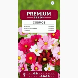 nasiona-kosmos-mieszanka-kwiaty-rabaty-laki-odgrodnictwo-premium-seeds-1-g