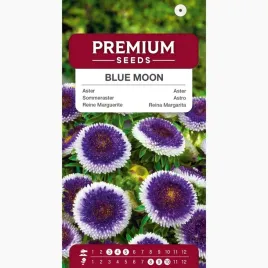 nasiona-aster-blue-moon-kwiaty-rabaty-kwietniki-ogrod-premium-seeds-05-g