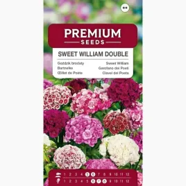 nasiona-gozdzik-brodaty-pelny-mix-kwiaty-rabaty-ogrod-premium-seeds-1-g