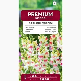 nasiona-lwia-paszcza-appleblossom-rabaty-kwiat-ciety-premium-seeds-05-g