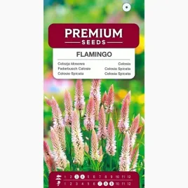 nasiona-celozja-klosowa-flamingo-rozowe-kwiaty-na-rabaty-premium-seeds-03g