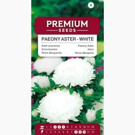 nasiona-aster-peoniowy-bialy-jednoroczna-kwiaty-na-rabaty-premium-seeds-1-g