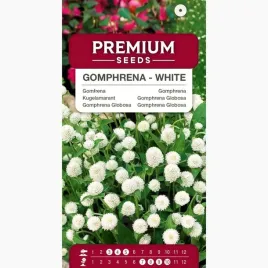 nasiona-gomfrena-biala-kwiaty-rabaty-kwietniki-ogrod-premium-seeds-03-g