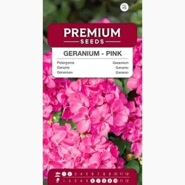 nasiona-pelargonia-rozowa-kwiaty-rabaty-skrzynie-ogrod-premium-seeds-11-szt