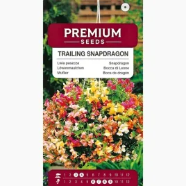 nasiona-lwia-paszcza-o-pedach-zwisajacych-mieszanka-mix-premium-seeds-001g