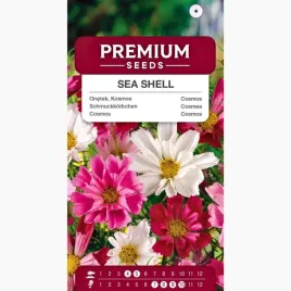 nasiona-onetek-kosmos-sea-shell-mieszankakwiaty-ogrod-premium-seeds-01-g