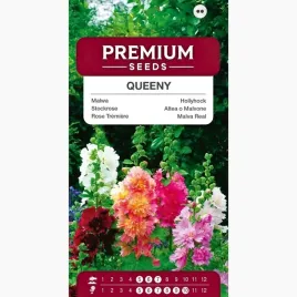 nasiona-malwa-niska-queeny-kwiaty-rabaty-bukiety-ogrod-premium-seeds-03-g