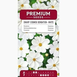 nasiona-kosmos-sensation-niski-bialy-kwiaty-rabaty-ogrod-premium-seeds-2-g