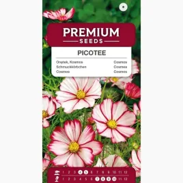 nasiona-onetek-kosmos-picotee-kwiaty-laki-kwiatowe-rabaty-premium-seeds-1-g
