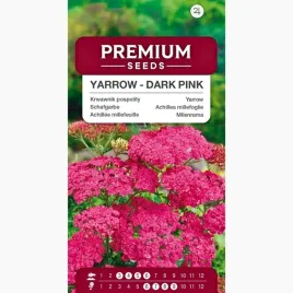 nasiona-krwawik-pospolity-ciemnorozowy-kwiaty-ogrod-premium-seeds-02-g