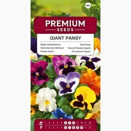nasiona-bratek-wielkokwiatowy-giant-pansy-mixed-kwiatki-premium-seeds-05-g