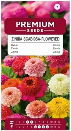 nasiona-cynia-skabiozowa-mieszanka-kwiaty-ogrod-dekoracja-premium-seeds-1-g