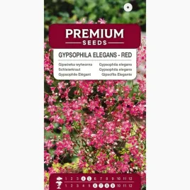 nasiona-gipsowka-wytworna-gypsophila-elegants-kwiaty-ogord-premium-seeds-1g