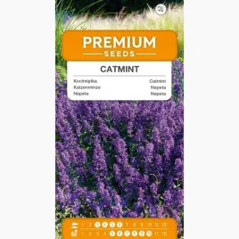 nasiona-kocimietka-roslina-dekoracyjna-kwiaty-ogrod-premium-seeds-05-g