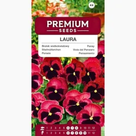 nasiona-bratek-wielkokwiatowy-laura-karminowo-rozowy-z-plama-premium-seeds