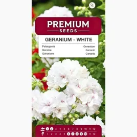 nasiona-pelargonia-biala-wieloletnia-kwiaty-ogrodnictwo-premium-seeds-10szt