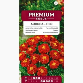 nasiona-aksamitka-rozpierzchla-aurora-czerwona-kwiatki-premium-seeds-1-g