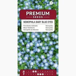 nasiona-porcelanka-niebieska-kwiaty-rabaty-kwietniki-ogrod-premium-seeds-1g