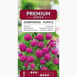 nasiona-gomfrena-purprurowa-kwiaty-ozdobne-ogrodnictwo-premium-seeds-03-g