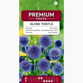 nasiona-przegorzan-roslina-wieloletnia-kwiaty-ogrod-laki-premium-seeds-2-g