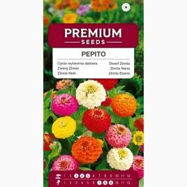 nasiona-cynia-wytworna-daliowa-pepito-karlowa-kwiatki-premium-seeds-1-g