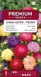 nasiona-aster-chinski-ksiazecy-peoniowy-wielokolorowy-mix-premium-seeds-1g