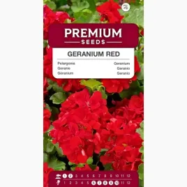 nasiona-pelargonia-czerwona-dekoracyjne-kwiatostany-premium-seeds-10szt